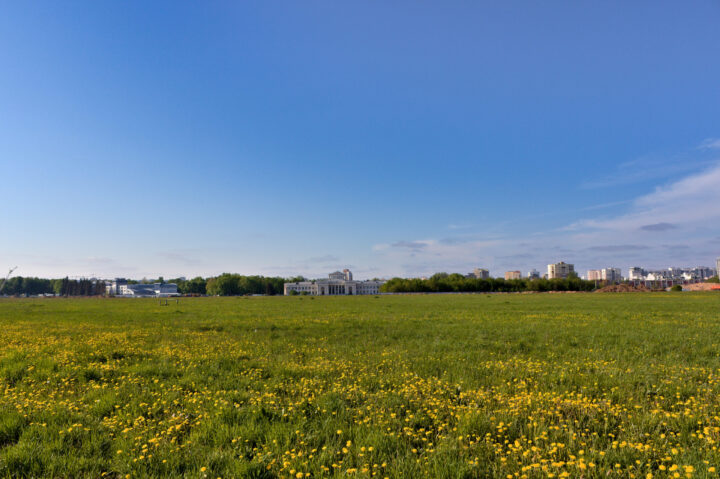 Одуванчиковое поле и старый терминал Минск-1, вид со взлётки